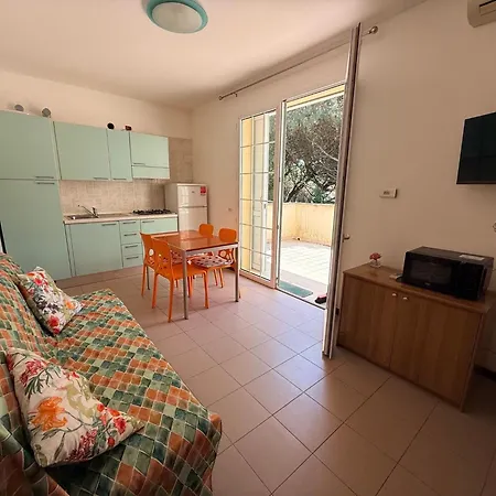 With Large Terrace In Apartment